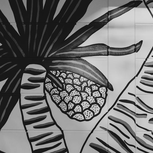 Burleigh Gelato Co | Wall and logo painting